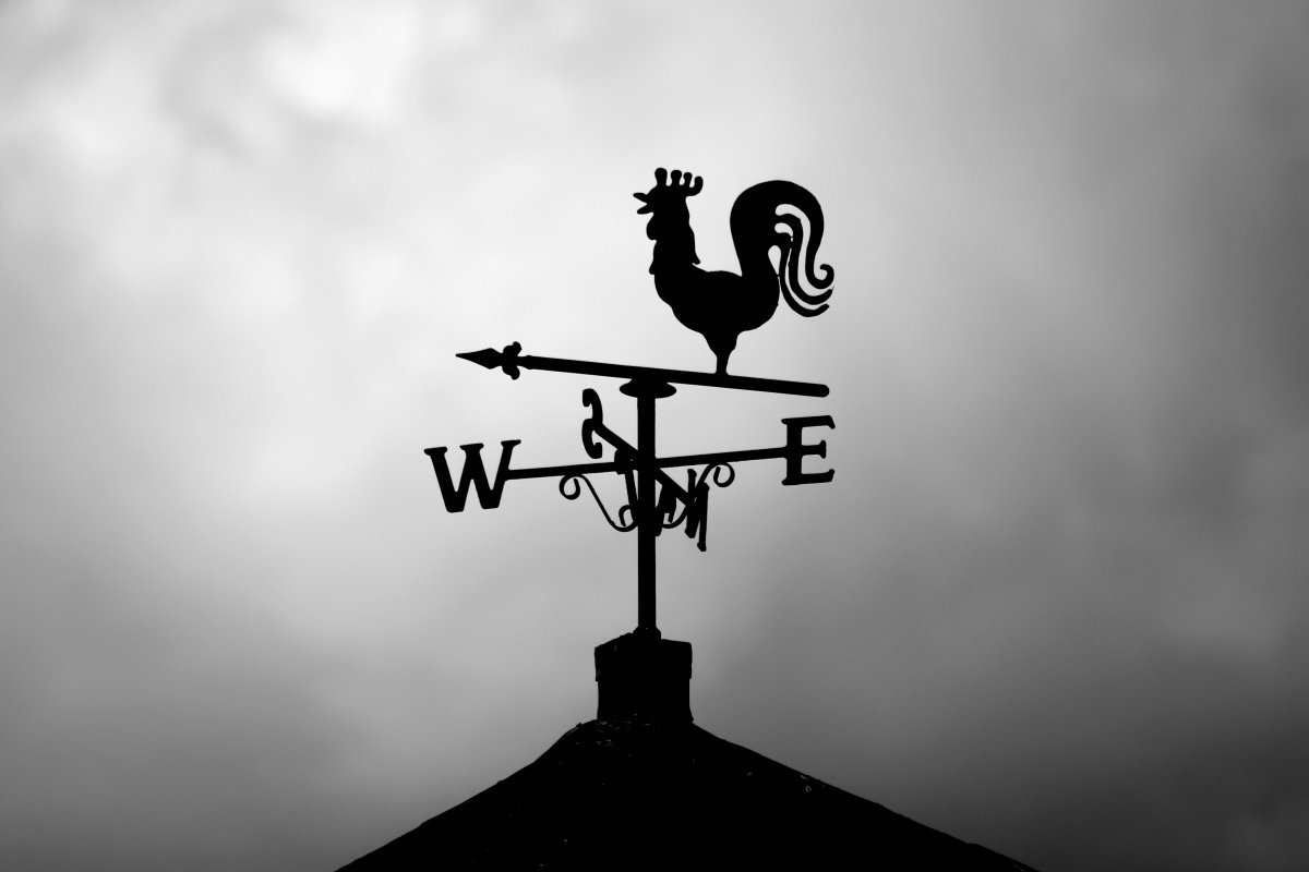 Personne avec un animal